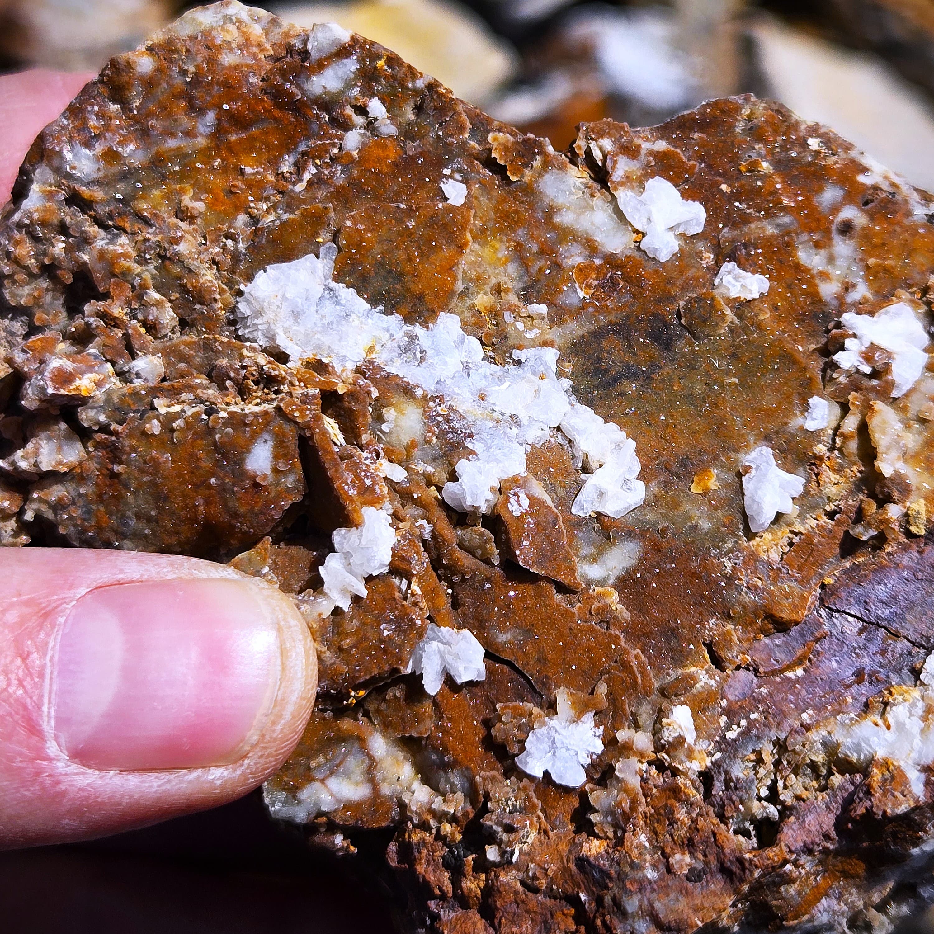 Calc-silicate accessory minerals on a mineralized sample