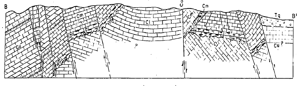 Geologic cross-section B–B′ showing folded and faulted carbonate stratigraphy